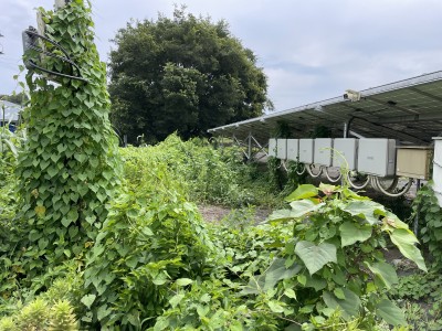 写真 2025-08-09 11 42 18