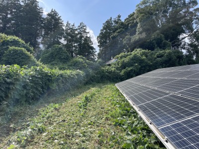 写真 2025-09-28 14 03 31