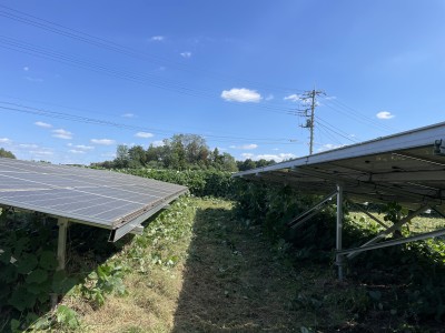 写真 2025-10-10 11 59 40