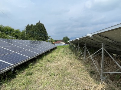 写真 2025-07-04 14 38 40